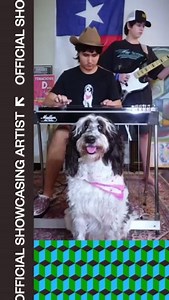 1.1K views · 12 reactions | Sixteen-year-old Noah Faulkner (Pedal Steel Noah) rocks new wave and post-punk covers on the pedal steel guitar, joined by his younger brother Nate and their loyal companion Kara. Add this Texan to your must-see list of #SXSW Showcasing Artists! https://ow.ly/I3Ij50QGiiP | SXSW | Facebook