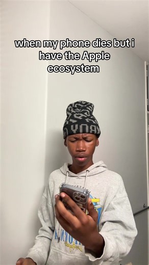 The Benefits of the Apple Ecosystem for Users