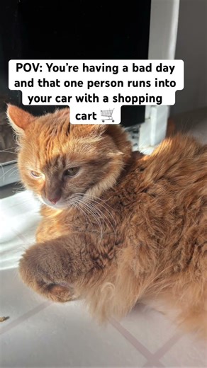 Shopping cart 😒￼