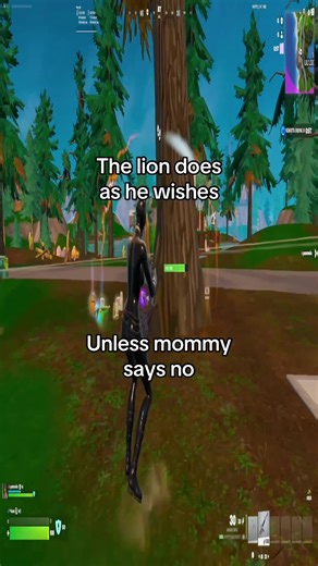 Engaging Dog Behavior and Fun Playtime Ideas