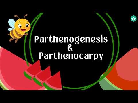 Parthenogenesis and Parthenocarpy | Reproduction | Class 10 | Biology | Telangana | Khan Academy