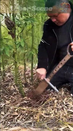 Digging Bamboo in the Grove