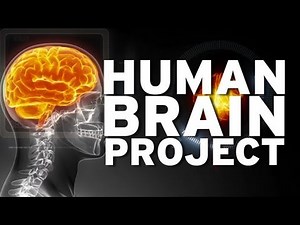 Human Brain Project
