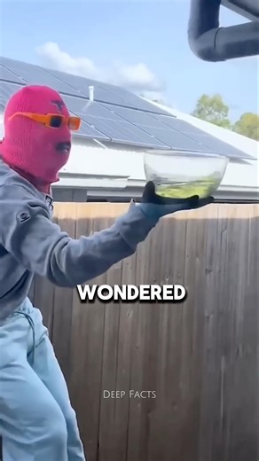 Easy Way to Remove a Wasp Nest 😲 #alightmotion #shorts