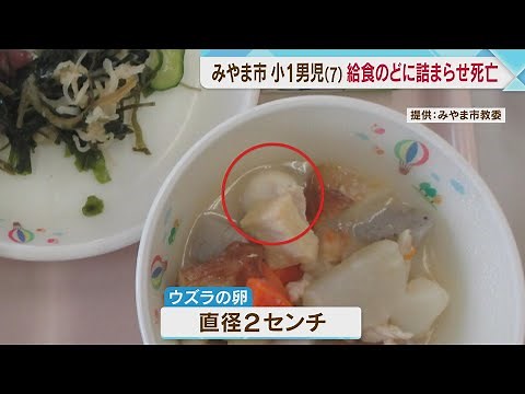 ウズラの卵による窒息か 小1の男子児童が給食をのどに詰まらせドクターヘリで搬送も死亡 福岡・みやま市