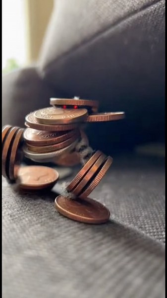 This Coin Creature Tried to Collect From the Wrong Cat #shorts #viral #catfunny
