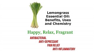 Lemongrass Essential Oil: Benefits, Uses and Chemistry — LETIME STILL