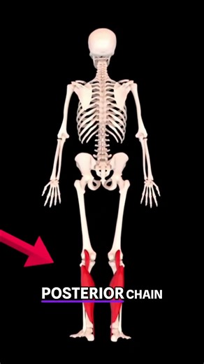 Posterior Chain Strength: Nordic Curls for Ultimate Fitness #shorts