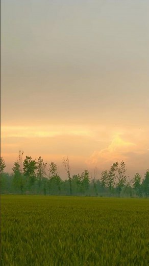 The Most Beautiful Sunset Youll See Today #short