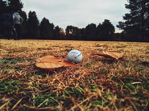 Spectator sues golfer and organisers after being hit on head with golf ball