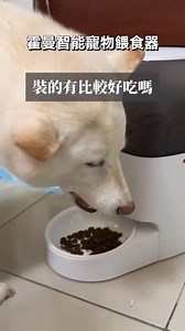 餐餐不缺席的祝福，陪伴一整個冬季！ 聖誕樹下的禮物，不只是驚喜，更是一份日常的陪伴。 霍曼寵物智能餵食器，以定時定量的守護，讓每一餐都剛剛好 😺360° 全密封保鮮，餐餐如初開般新鮮 💦分體式結構全機可拆，換糧清洗毫不費力 📱APP 遠端操控，無論在家或外出，都能安心 這個冬天，把「餐餐不缺席的祝福」交給霍曼， 讓毛孩的每一口，都成為你送出的愛與守候。 立即購入🔗https://homerunpet.tw/s/pf20-fb 📷@yanyangod9921 | 霍曼Taiwan