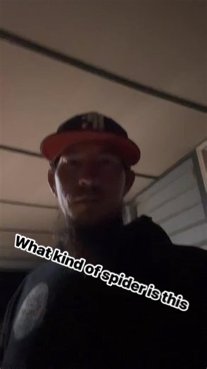 What is this #comedian #comedyreels #comedy #junebug | Dusty Deaton