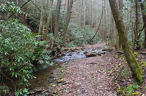 Cohutta Wilderness: Jacks River Falls via Rice Camp Loop, Chatsworth, Georgia