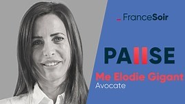 3.5K views · 71 reactions |  Un problème méconnu sur lequel Me Elodie Gigant, avocate, attire l'attention: bien que légale, la consommation de CBD, à laquelle on prête des effets thérapeutiques, peut entrainer un retrait du permis de conduire, le test salivaire de la police ne mesurant pas le taux de THC. L'article : francesoir.fr/videos-pause-interview/pour-une-tisane-au-chanvre-on-peut-perdre-son-permis-elodie-gigant | FranceSoir | Facebook