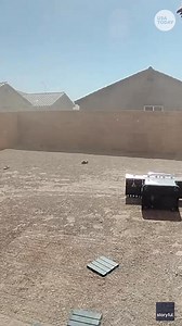 Close call! Residents head indoors just before a powerful dust devil strikes their backyard. | USA TODAY Video