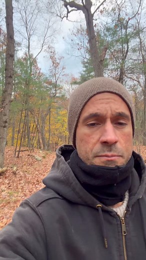 Pack day and working P off lead cleaning up some behaviors before he goes home on Friday. The “ WAIT” command is my emergency stop command. #dogtraining #doghandler #dogbehaviormodification #dogtrainingboston #dogtrainersofig | Equilibrium Canine Training and Behavior