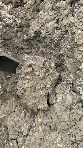 The Strongest Signal from My Metal Detector! #metaldetecting #treasuresearch #metaldetector