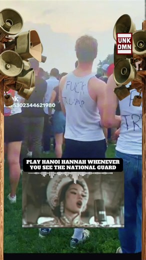 Hanoi Hannah's Propaganda: A Reflection on War