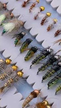 No Bites? Use This Fly Change Strategy