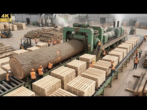 Inside a Wood Processing Factory – From Logs to Finished Wood Boards