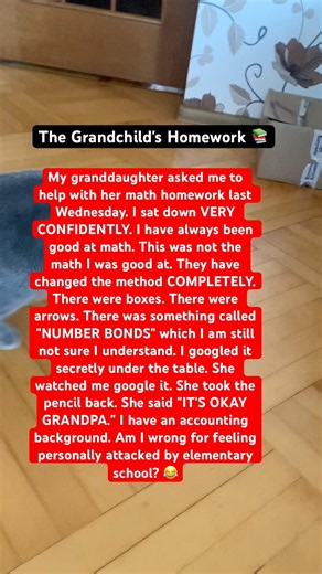 The Grandchild's Homework 📚