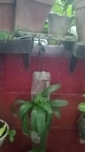 REALISTIC ELEVATOR MINECRAFT