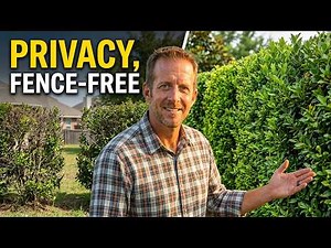 9 Plants I'll ALWAYS Use for Privacy (No Fence Needed)