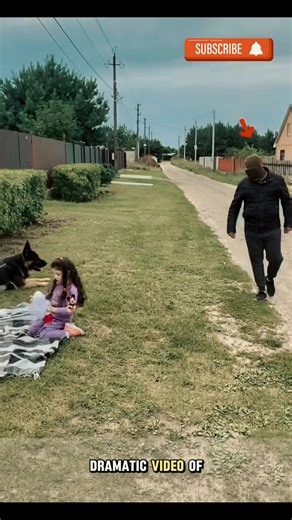 Expert K9 Training Tips for Your Dog