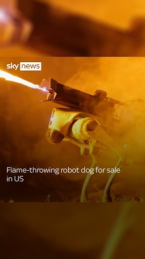 65K views · 374 reactions | A flame-throwing robot dog, which shoots jets of fire up to 30ft, is for sale in the US for $9,420 (£7,600). #robot #dog #US | Sky News | Facebook