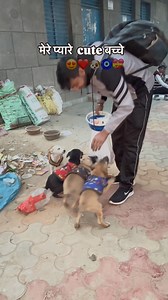 मेरे प्यारे cute बच्चे 😍❤️🐶🧿💝 #puppy | the dog lover Manish