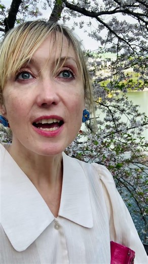 Best wishes from sakura blooms 🫶🌸