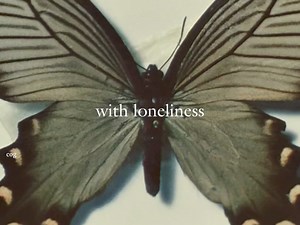 2.8M views · 31K reactions | the only exception | 헰헼헴 | Facebook