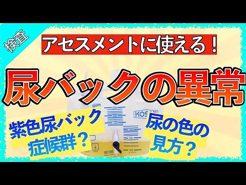 イラストで学ぶ医学！「尿バックの異常まとめ」紫色尿バック症候群とは？機序/意味/アセスメント