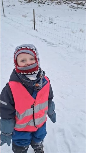 Typiskt Alfred 😅 Nu hoppar du inte ut framför pulkan.. Nääää då.. 😆 Han får springa 🤣#running #kids