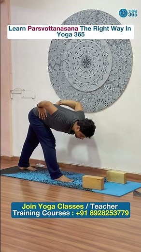 Become a Certified Yoga Teacher | 200 & 300 Hour Yoga TTC + Online Yoga Classes