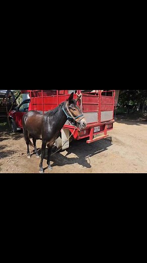 65K views · 2.1K reactions | Hunter Vlogs on Reels | Facebook