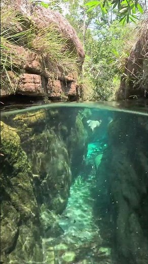 Barra do Garças no Mato Grosso, Brasil 🇧🇷 #travel #nature #turismo