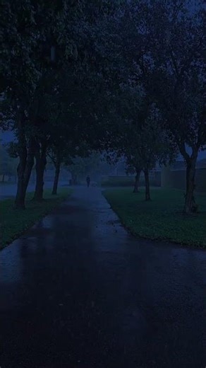 This peaceful evening rain walk is the ultimate mood booster