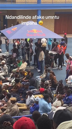 Understanding Student Experiences at CPUT