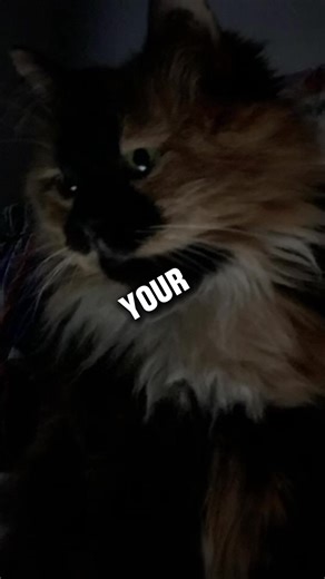 WKDMOJO (@wickedmojo)’s videos with original sound - Life.motivation