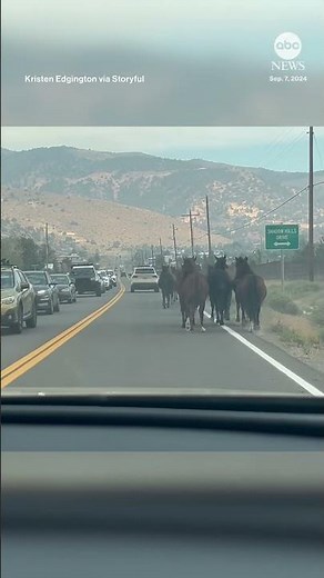Wild horses flee Nevada fire