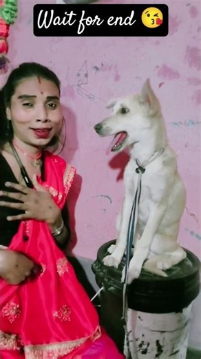 my dog reaction 😂 on my real... 🥰🐕😂😭😘 #youtubeshorts #dance #lifeisbutadream