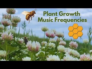 Plant Growth Music Frequencies: Music for Plants to Grow Happy & Healthy