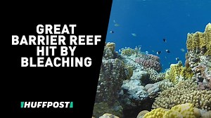 Australia’s Great Barrier Reef is “running out of time.” | HuffPost