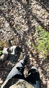 Get the edge this turkey season with dependable trail cameras from Wildgame Innovations. Learn more today! | Wildgame Innovations