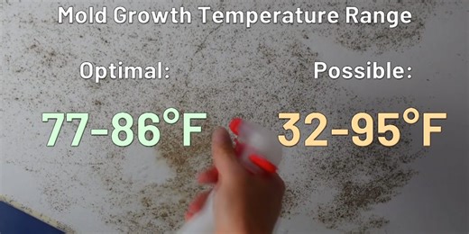 Moment of Science: Mold