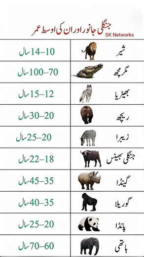 Wild Animals and Their Average Lifespan – Discover How Long They Live in the Jungle!