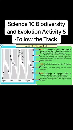 Learnathometv on TikTok