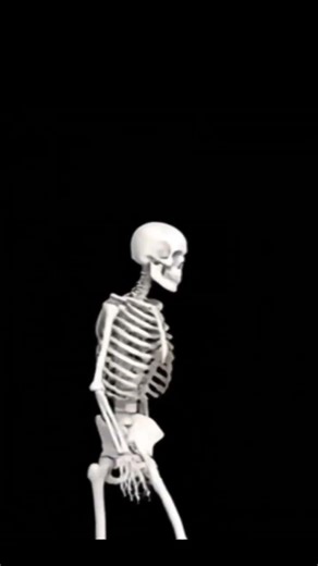 Day : 5 Web Development series mini Project 💻