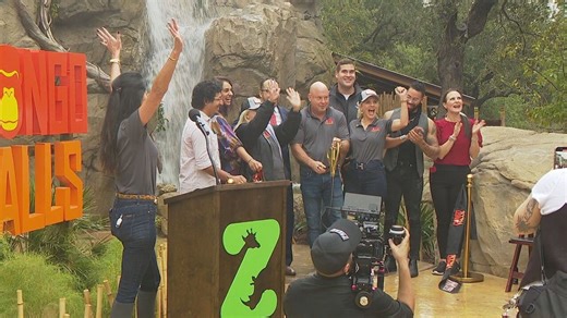 Congo Falls brings world's largest gorilla exhibit to the San Antonio Zoo!